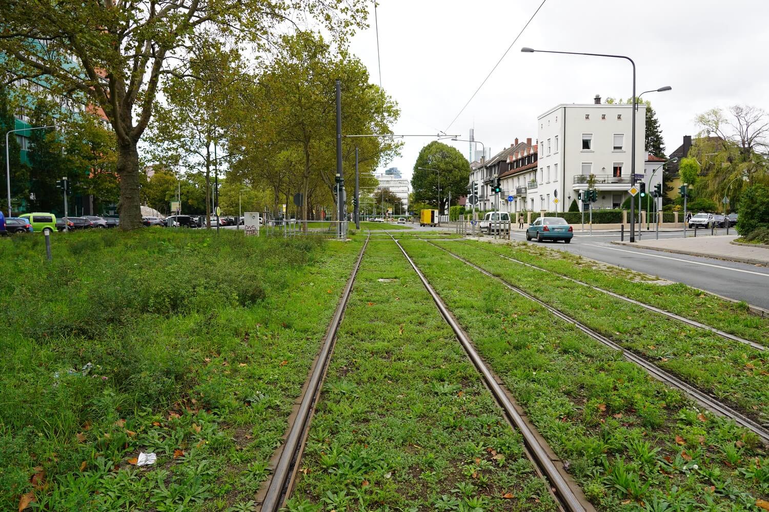 Begrüntes Rasengleis