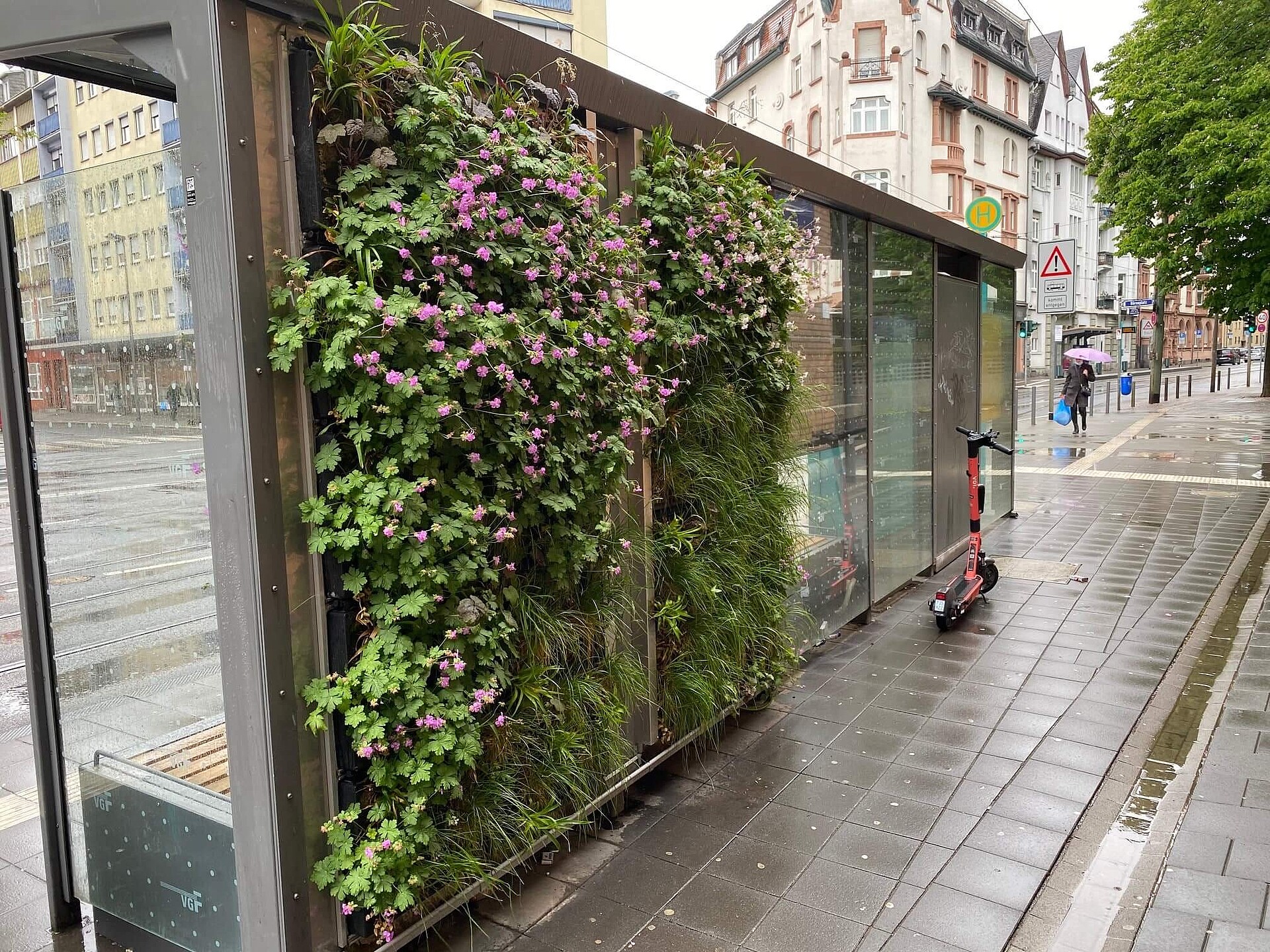 Begrünte, blühende Haltestelle