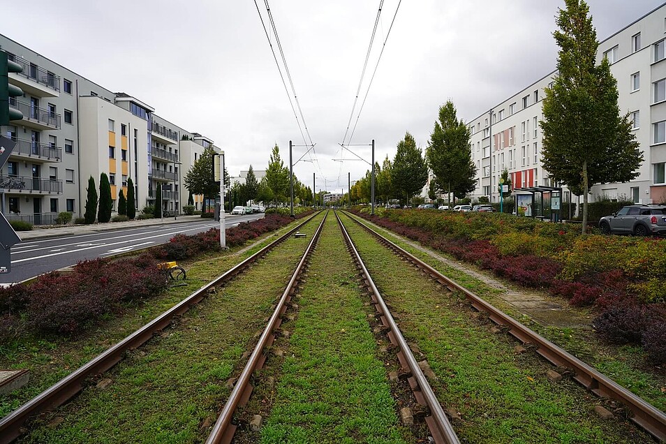 Begrüntes Rasengleis