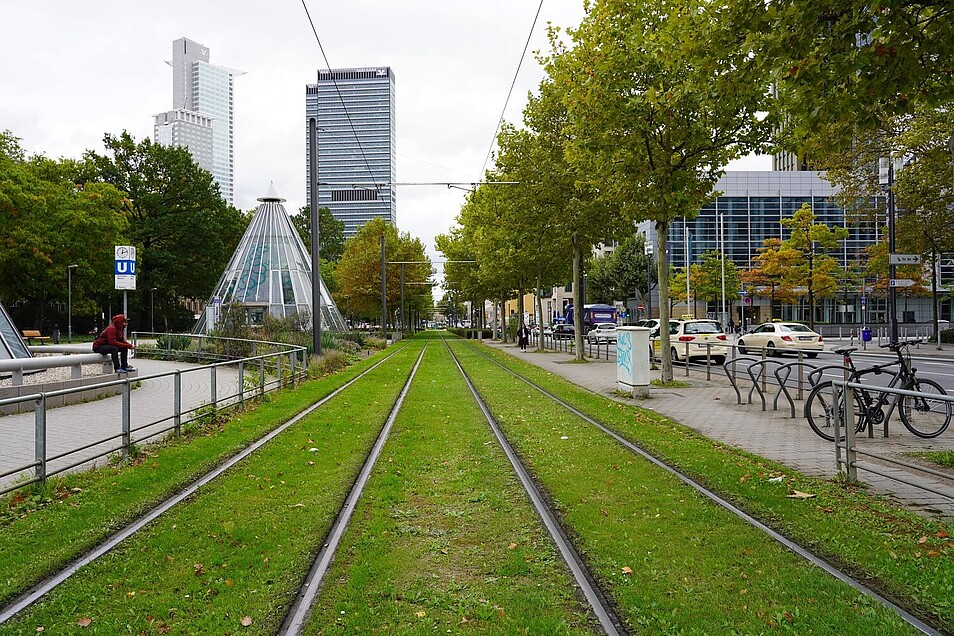 Begrüntes Rasengleis